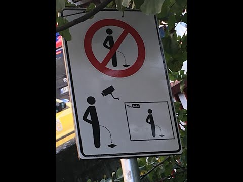 Understanding the laws around public urination in the UK
