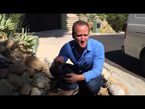 Reasons for Your Water Bill Tripling: Uncovering the Increase