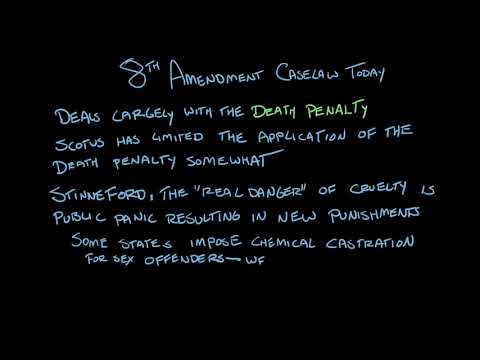 Understanding the Eighth Amendment: A Comprehensive Overview