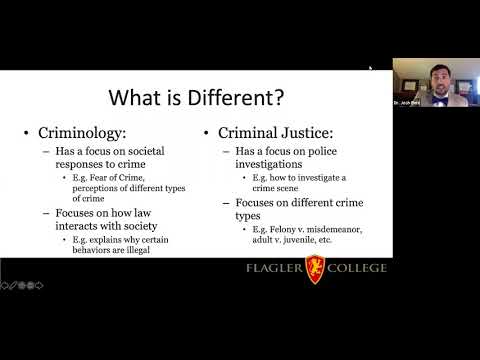 Understanding Criminology and the Criminal Justice System for Effective Analysis