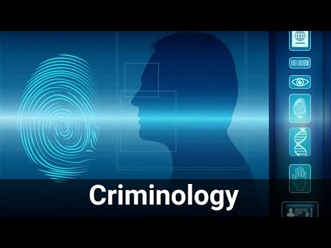 Understanding the Crime System: A Comprehensive Overview