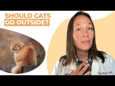 The Legality of Allowing Your Cat to Roam Outside