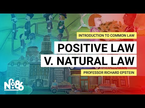 Understanding the Fundamentals of Natural Law: An Introductory Overview