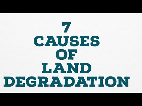 Understanding the Factors Behind Land Degradation: A Comprehensive Analysis