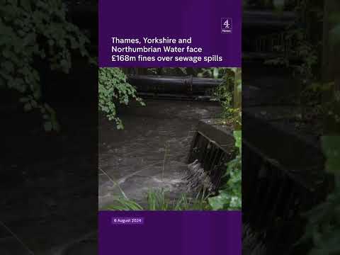 The Significance of Water Regulation in Modern Society