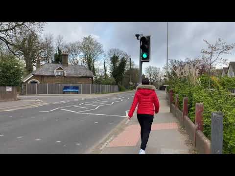 Pedestrian Crossing Law in the UK: Everything You Need to Know