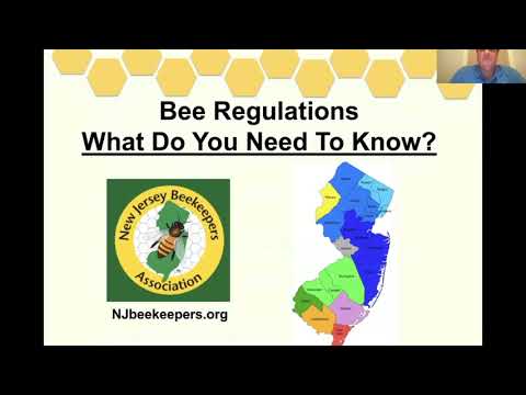 Understanding the Regulations Surrounding Beekeeping