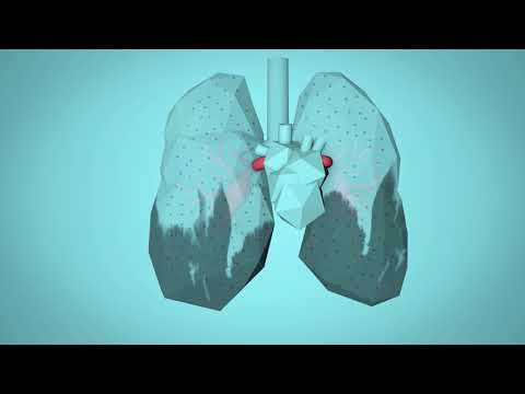 Understanding the Environment Act and Its Impact on Air Quality