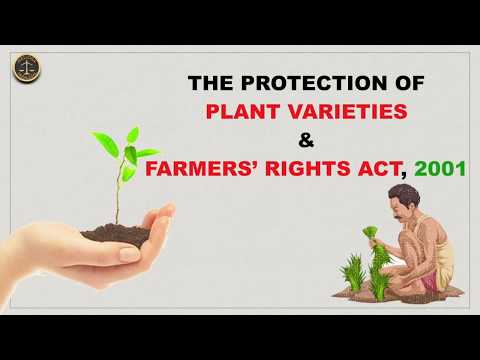 The Legal Rights of Plants: Understanding Their Status in Society