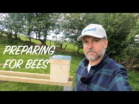 Keeping Bees in the UK: Understanding the Legal Regulations