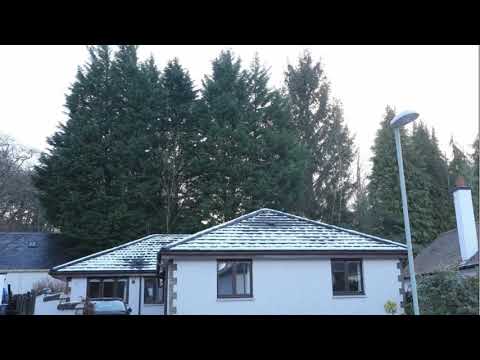 Legal Height of a Hedge Between Neighbours: Everything You Need to Know