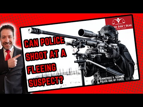 Important Information about Fleeing Felon Case Law