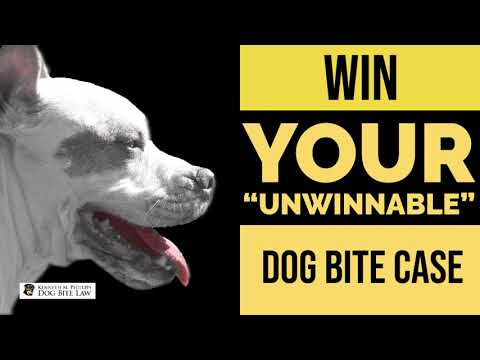 Strategies for Winning Your Dog Bite Case with a Lawyer