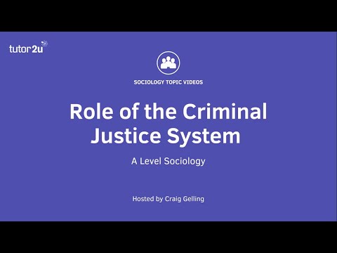 Navigating the British Criminal Justice System: Key Insights and Information