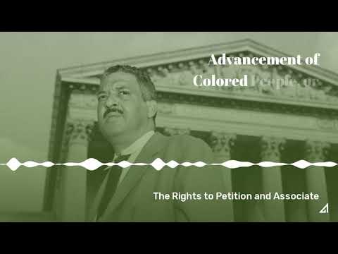 Examples of the Right to Petition in Action: A Comprehensive Overview