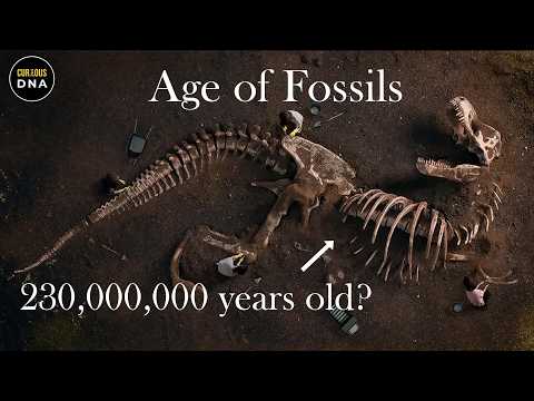 Determining the Age Requirements for Artifacts