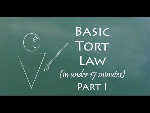 Understanding the Law of Torts by Bryan MacMahon