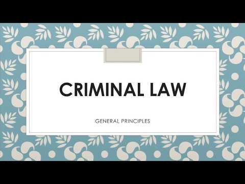 Essential Principles of Criminal Law: A Comprehensive Overview