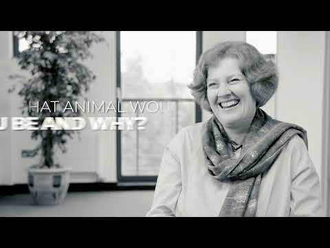 Private Client Law Firms: Expert Solutions for Personal Legal Needs