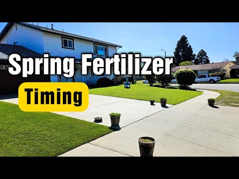 Optimal Timing for Lawn Fertilization: A Comprehensive Overview
