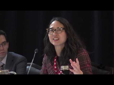 Essential Insights on Paul Craig Administrative Law