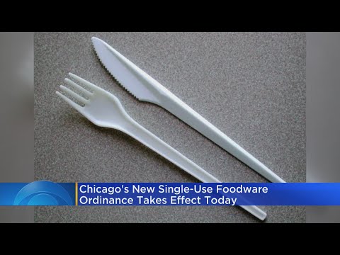 Understanding Chicago's Single Use Ordinance: What You Need to Know