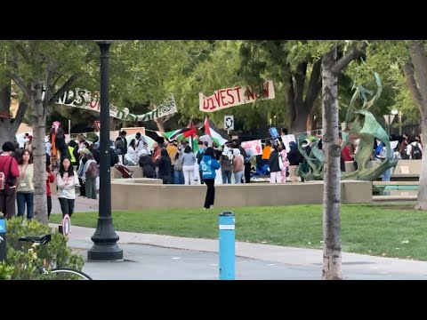Latest Updates on Freedom of Speech News