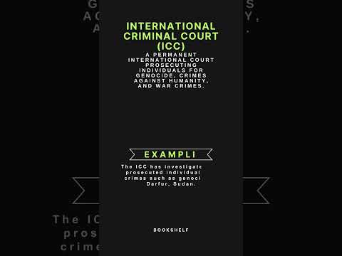 Exploring Cassese's International Criminal Law: Key Principles and Cases