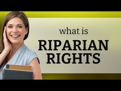 Understanding Riparian Rights in the UK: A Comprehensive Overview