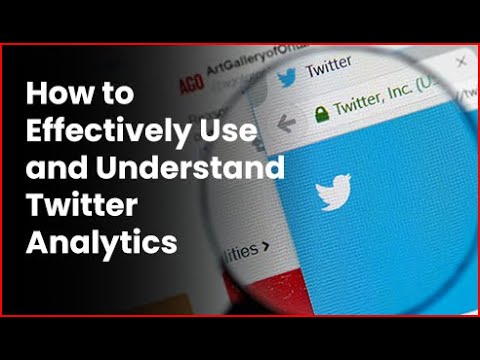 Navigating Social Justice Warrior Twitter: Insights and Analysis