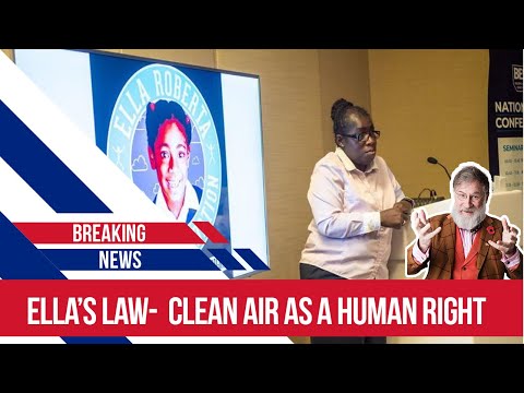 Exploring the Current Status of the Clean Air Act in the UK