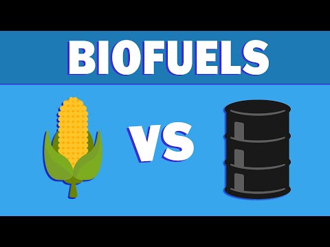 Understanding the National Biofuel Policy of 2006