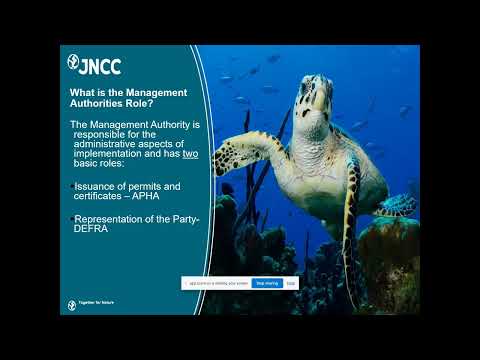 Enforcement of the Wildlife and Countryside Act: Key Authorities and Process