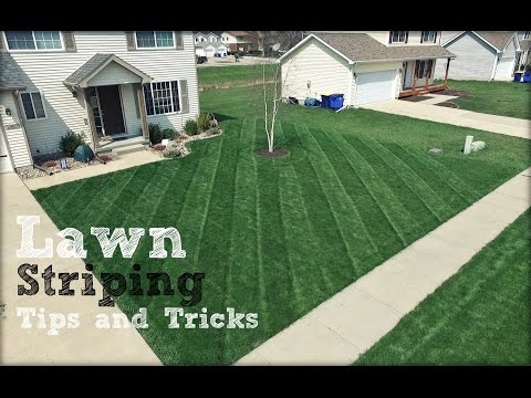 Understanding Cross Cutting a Lawn: Techniques and Benefits