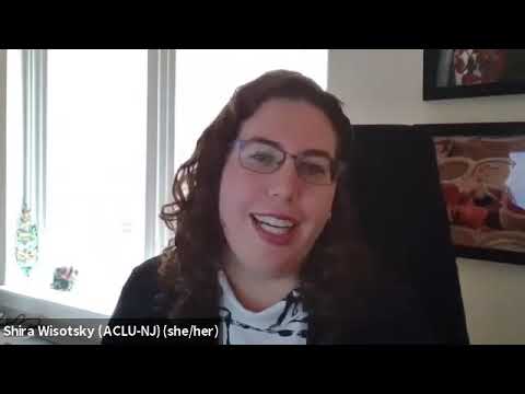 Private Public Interest Law Firms: Unveiling the Legal Advocates for Social Change