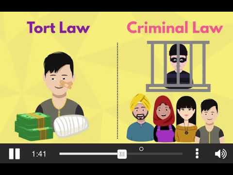 Understanding the Relationship Between Tort Law and Contract Law