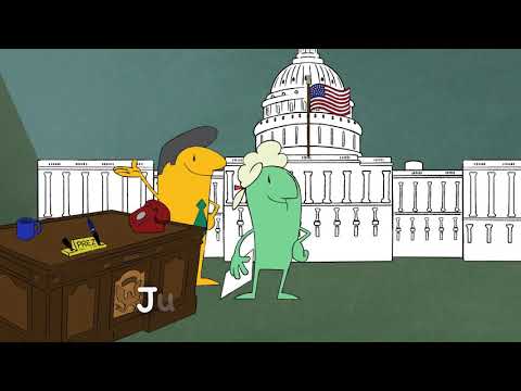 Understanding the Importance of Checks and Balances in Government