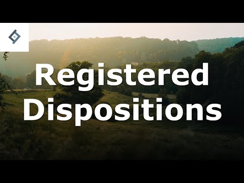 Understanding the Role of a Disponee in Land Law
