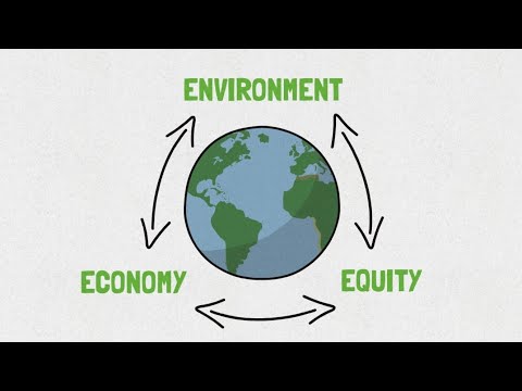 Understanding the Importance of the Sustainability Code
