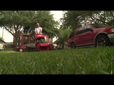 Noise Limit for Lawn Mowing in the UK: Regulations and Guidelines