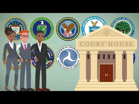 Understanding the Good Law Project's Judicial Review: Process and Impact