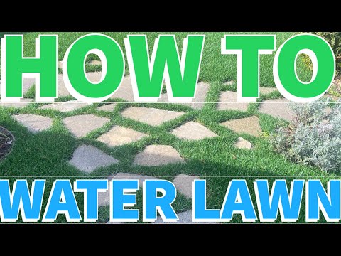 Lawn Watering Laws in California: Everything You Need to Know