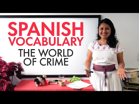 Understanding the Legality of Begging in Spain