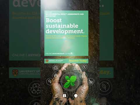 Master the 8 Principles of Impact Assessment for Success
