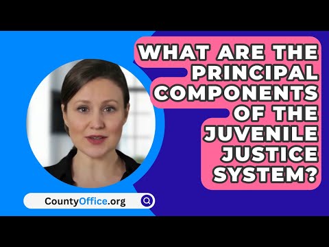 Comprehensive Juvenile Justice Handbook: Key Information and Resources