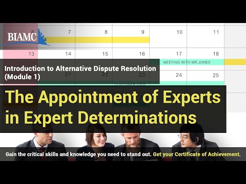 Expert in International Arbitration Services