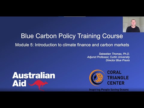 Understanding the UK Blue Carbon Policy: Key Points and Implications