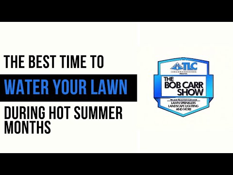 Optimal Timing for Watering Your Lawn During the Summer Months