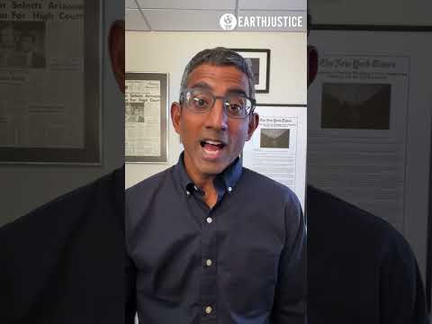 Latest Updates on the Environment Act