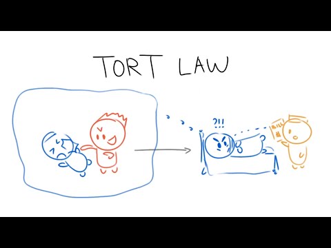 Introduction to Contract Law and Tort Law: Key Differences and Applications